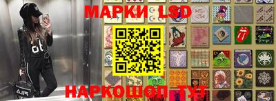 spice Кунгур