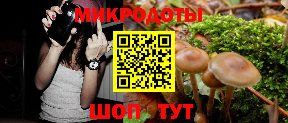 Псилоцибиновые грибы Psilocybine cubensis  Галлюциногенные грибы мицелий  Вход с VPN  Егорьевск 